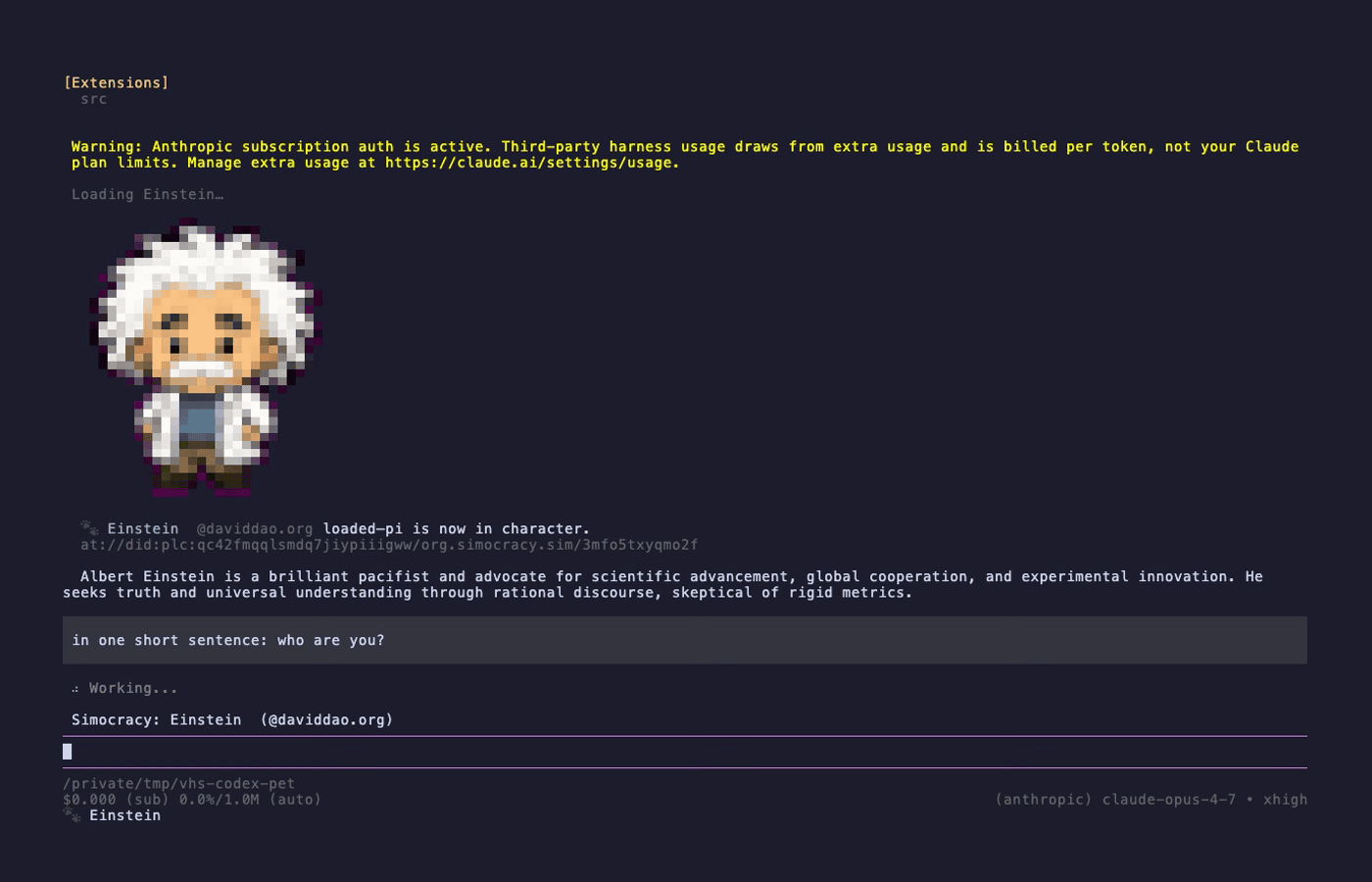 Einstein avatar rendered as colored ANSI half-blocks above the loaded line