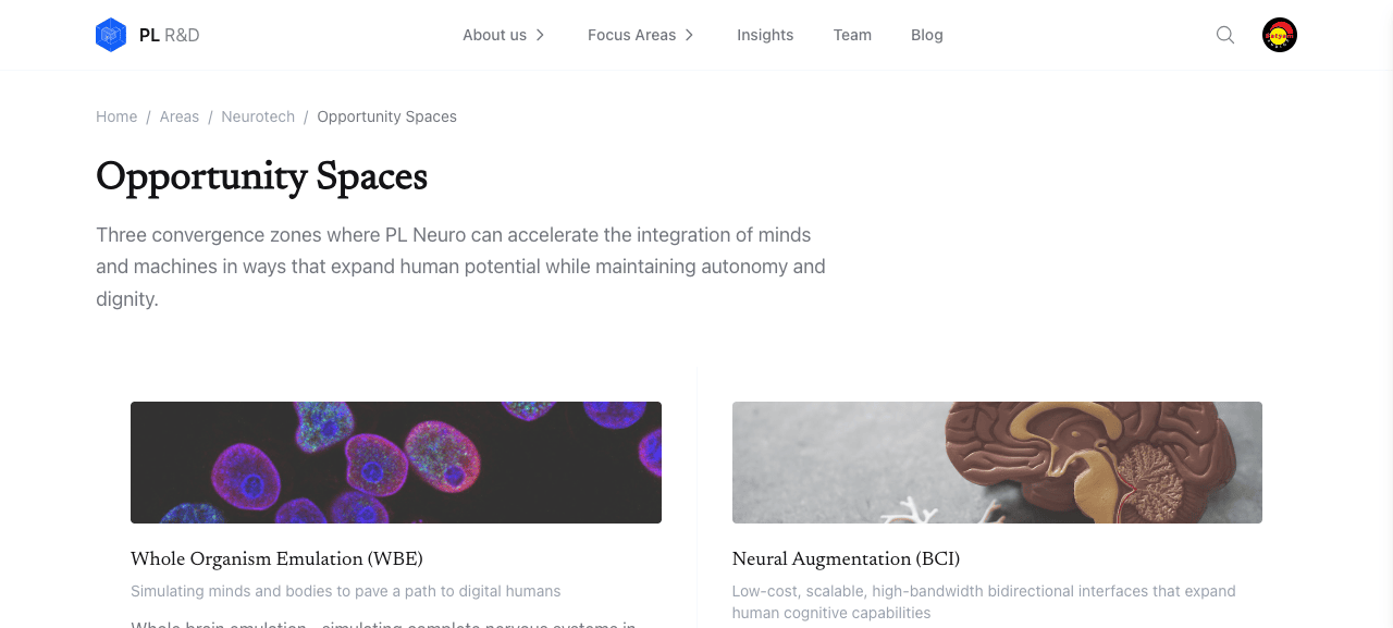 Neurotech opportunity spaces list, server-fetched from the indexer
